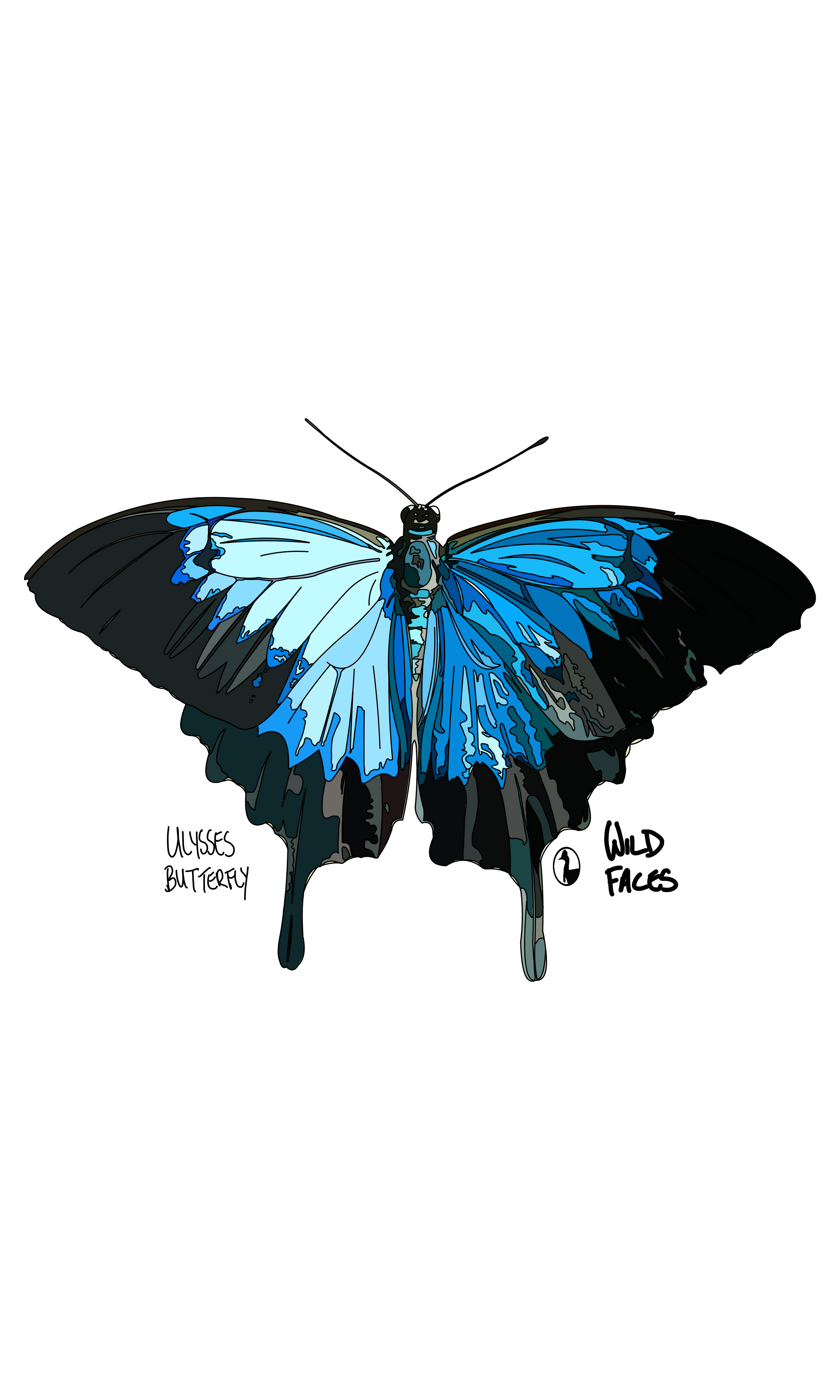 Ulysses-Butterfly Wild Faces