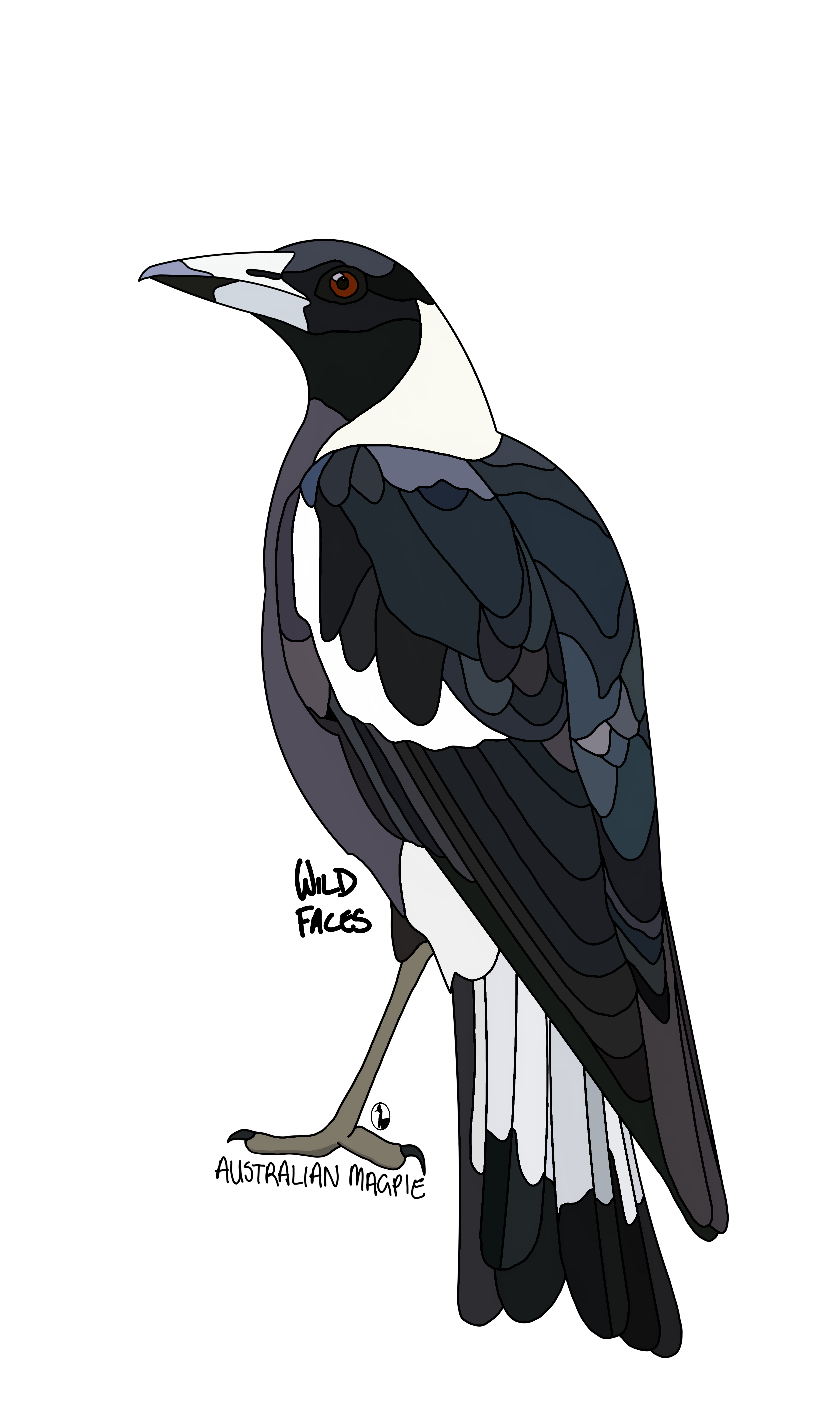 Australian-Magpie Wild Faces