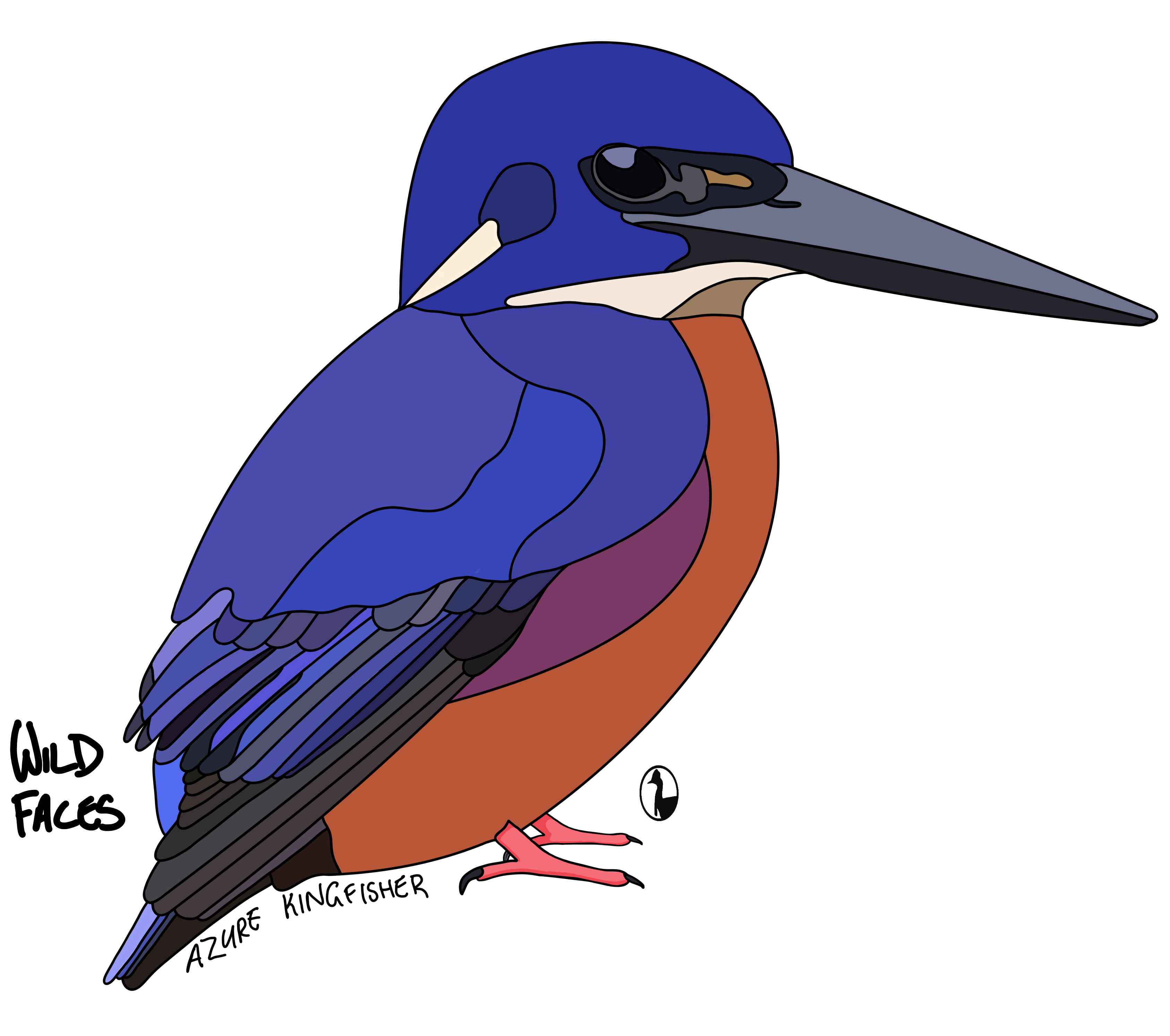 Kingfishers Wild Faces