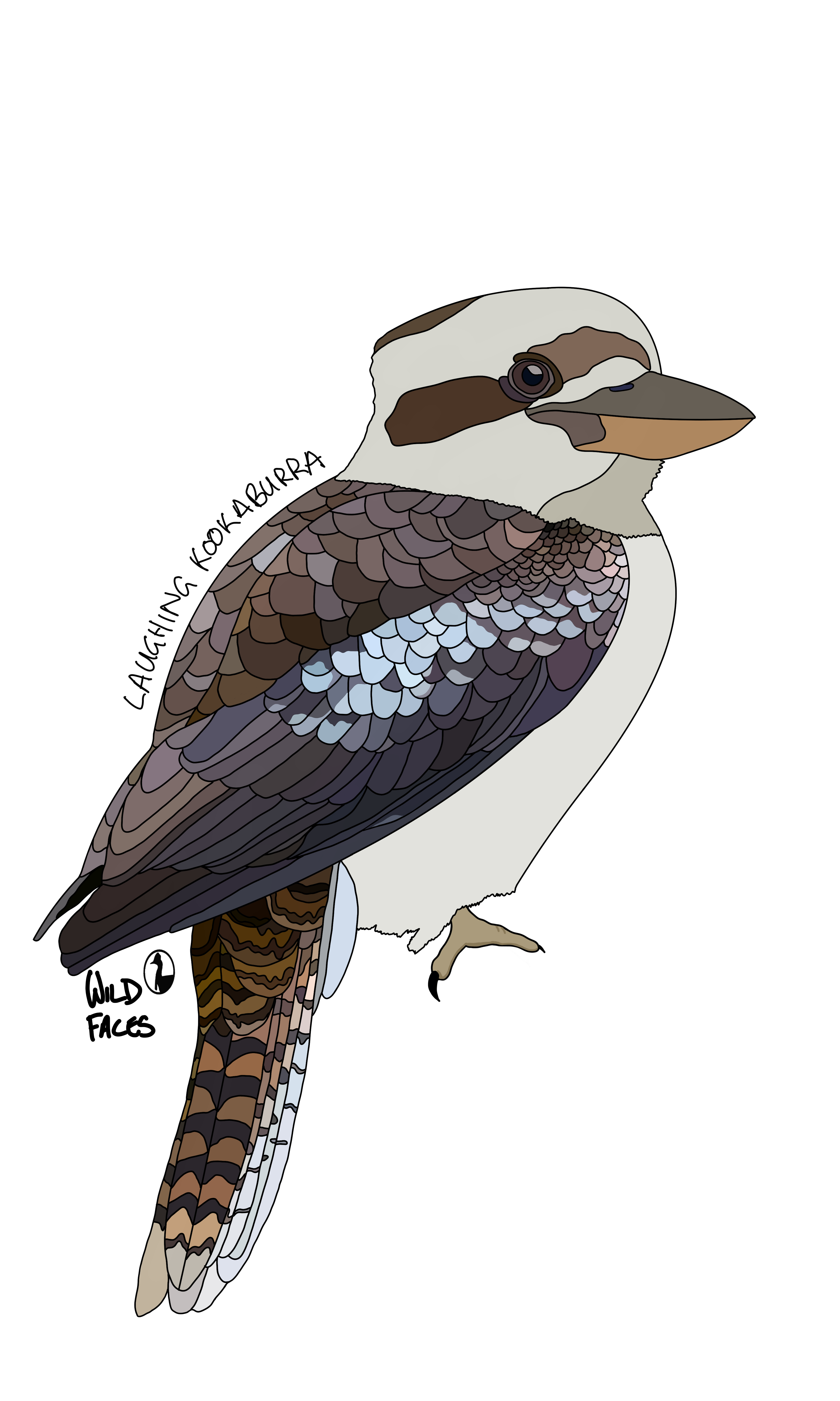 Laughing-Kookaburra Wild Faces