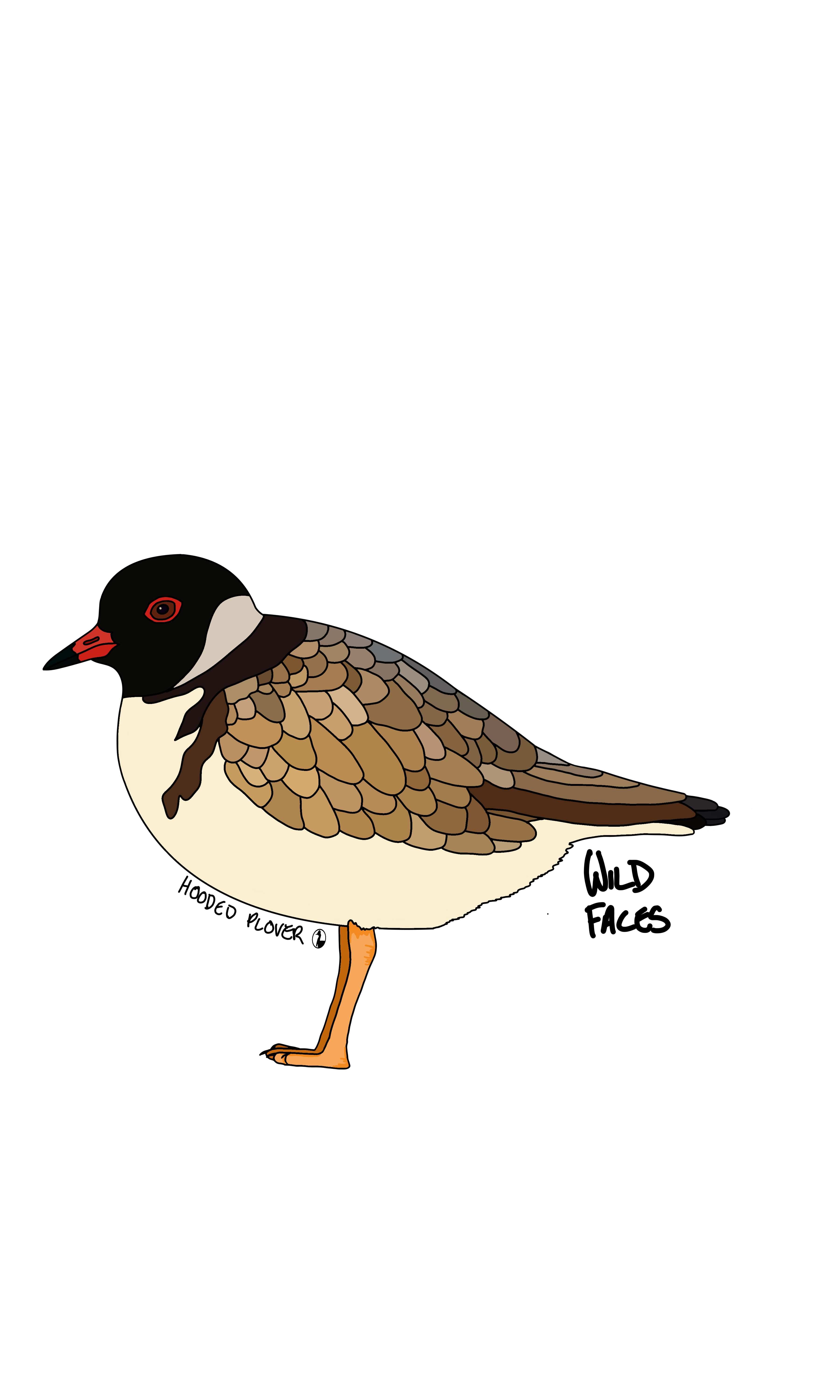 All-the-Plovers Wild Faces
