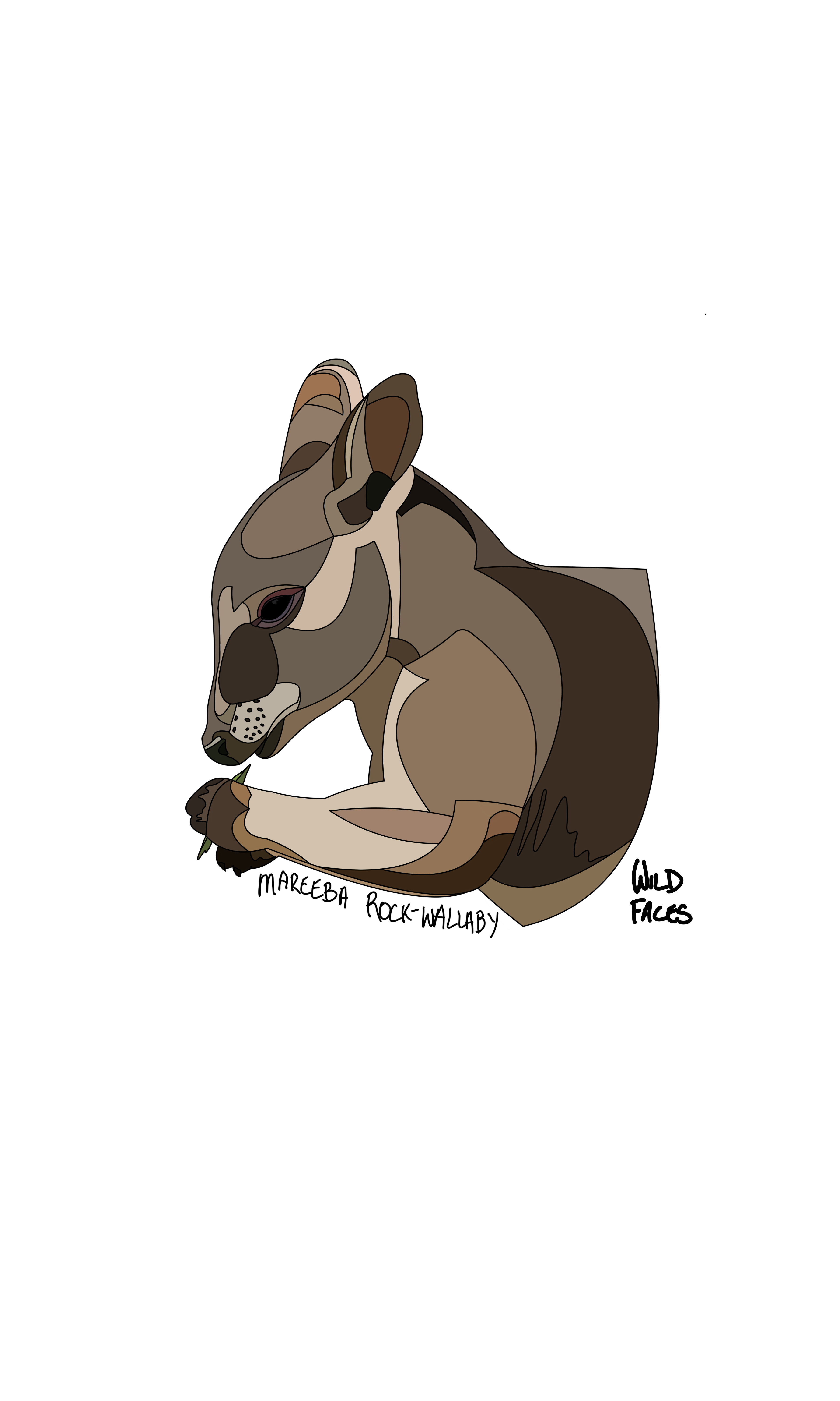 Mareeba rock wallaby design