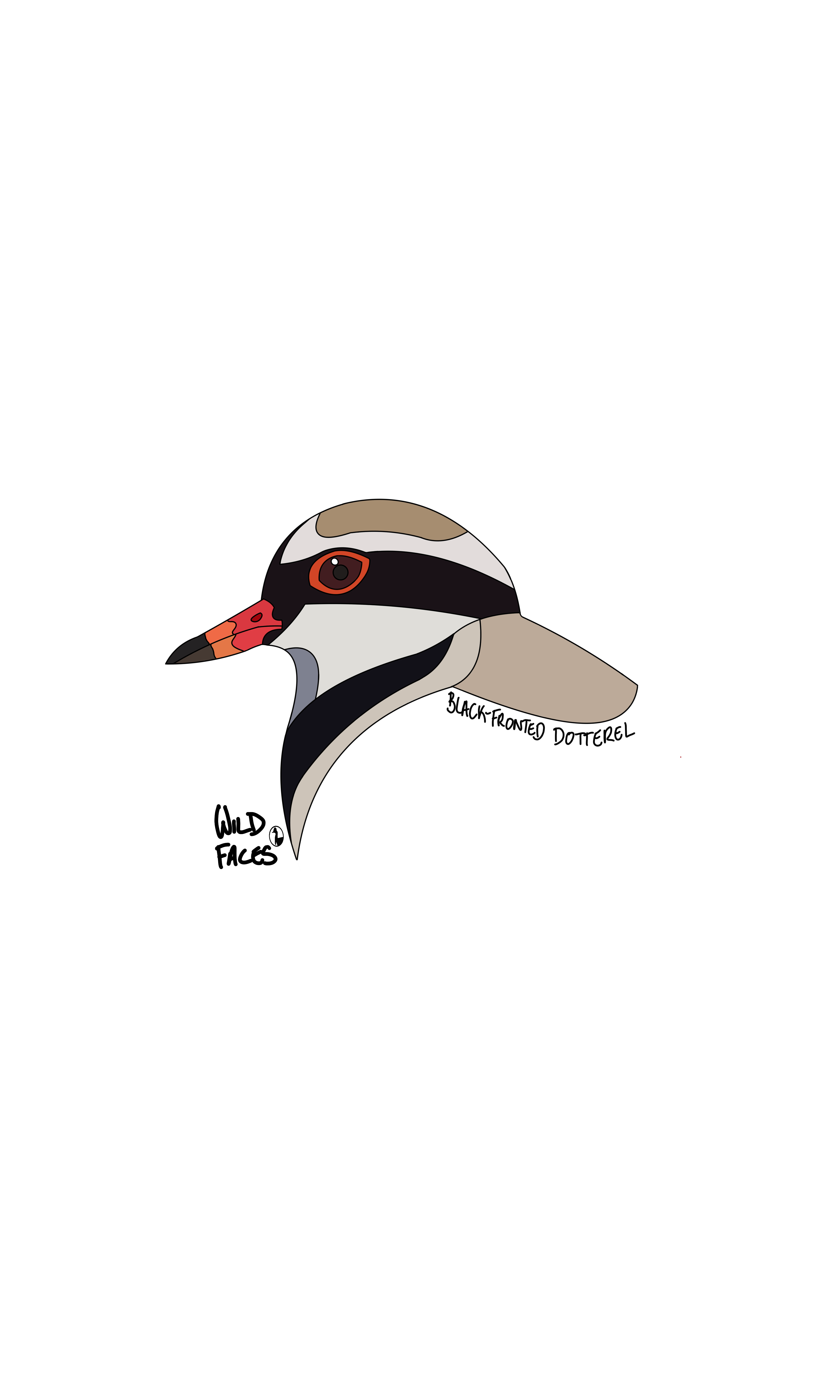 Black-fronted dotterel design