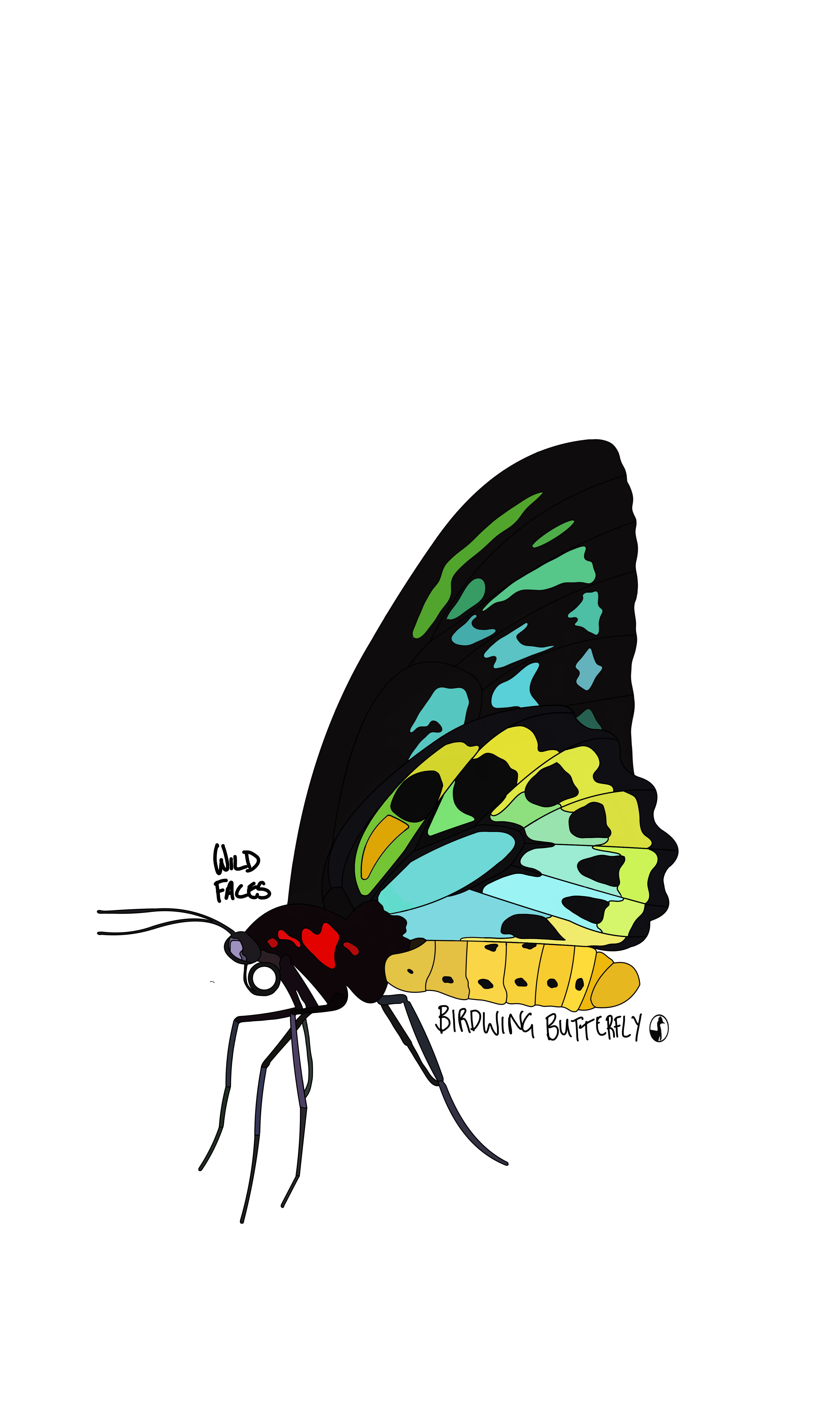 Birdwing-Butterfly Wild Faces