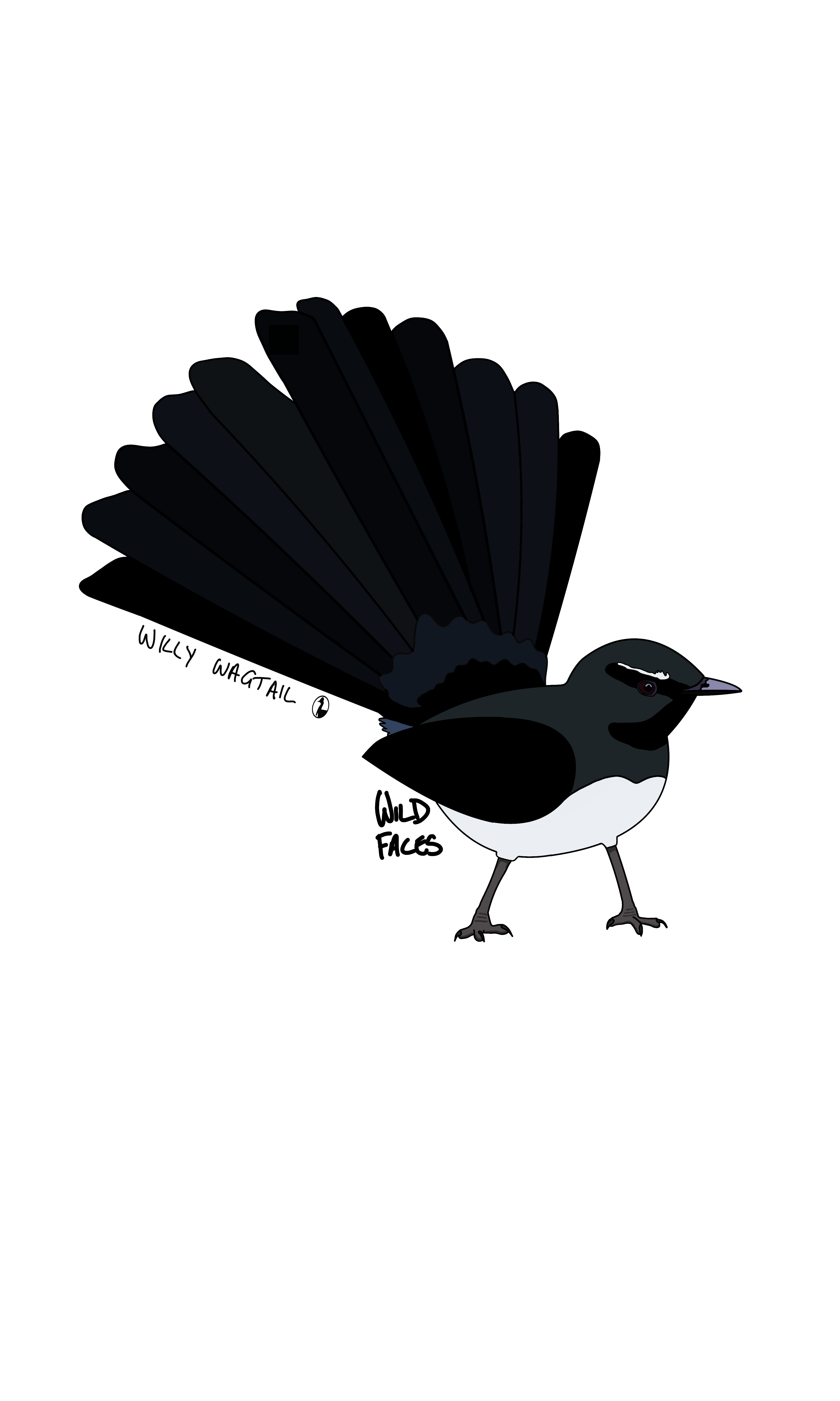 Willy-Wagtail Wild Faces