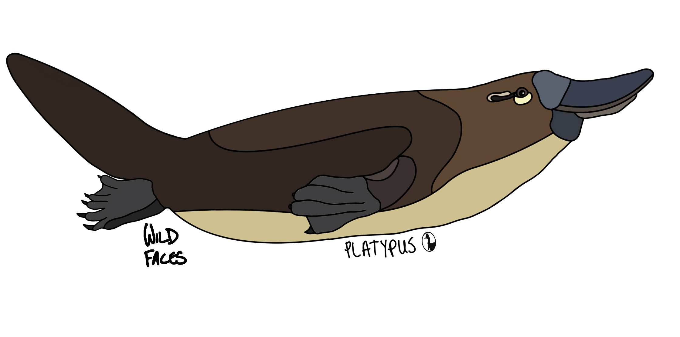 Platypus Wild Faces