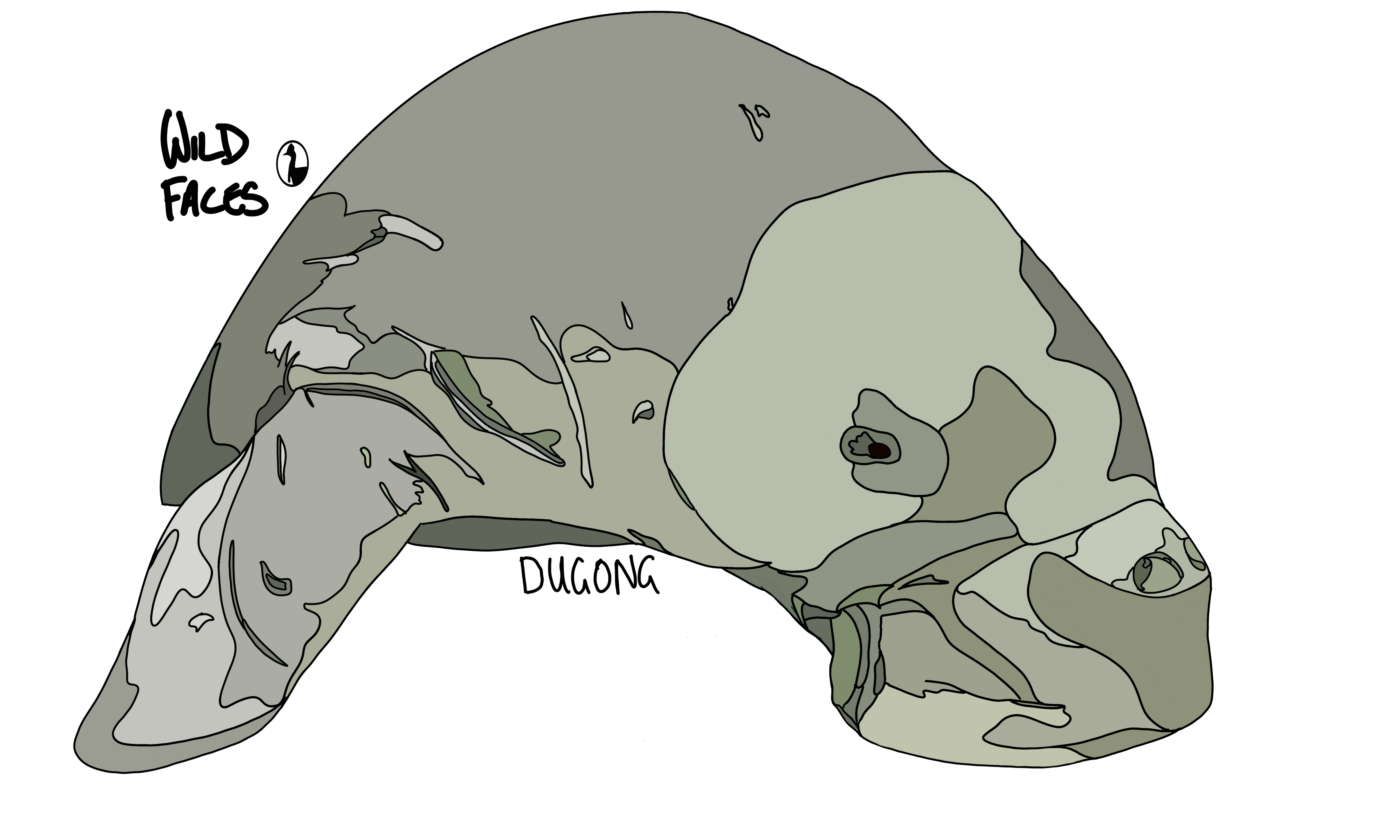 Cool image of a dugong by Wild Faces