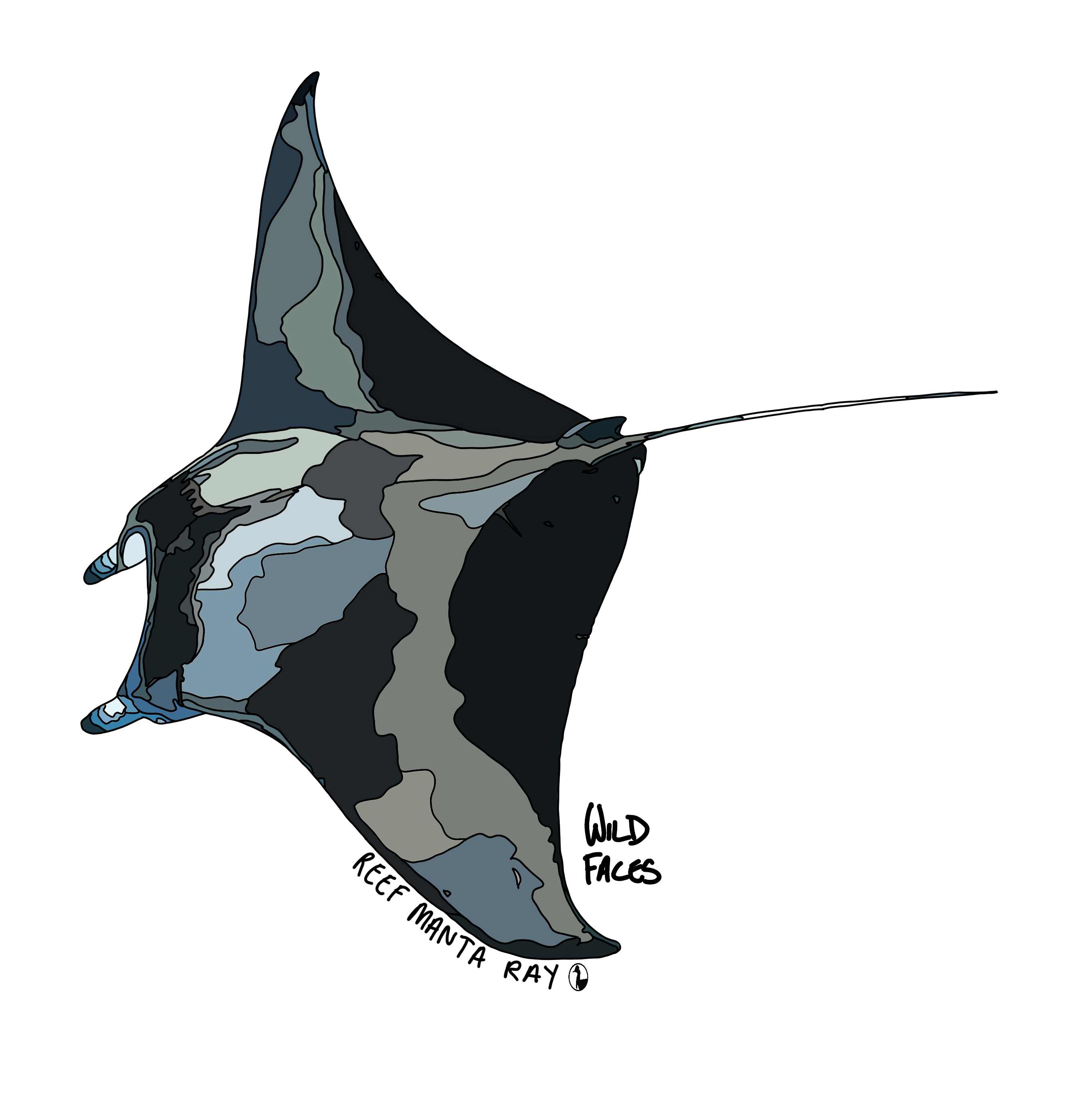 Reef-Manta-Ray Wild Faces