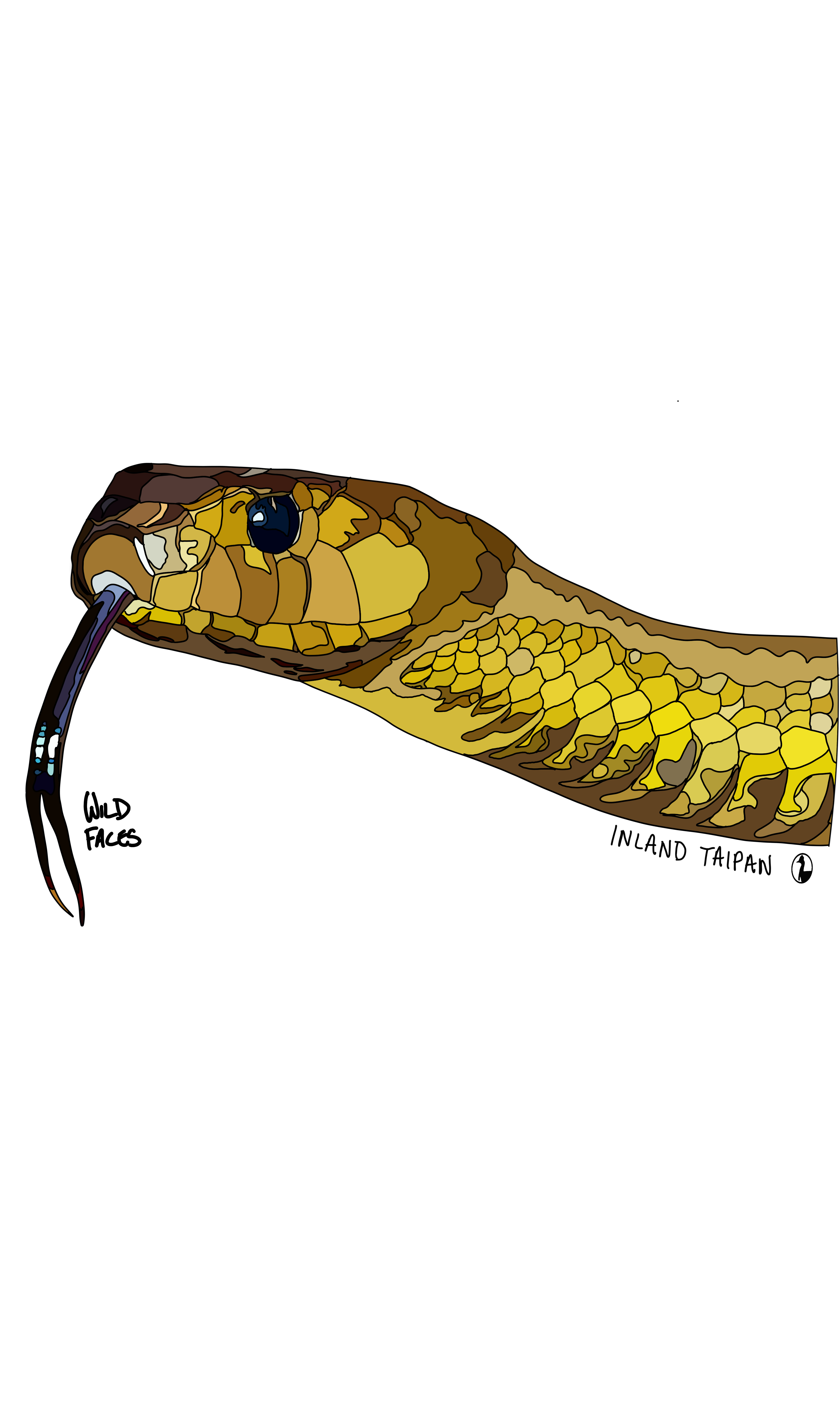 Design of an inland taipan with it's tongue out