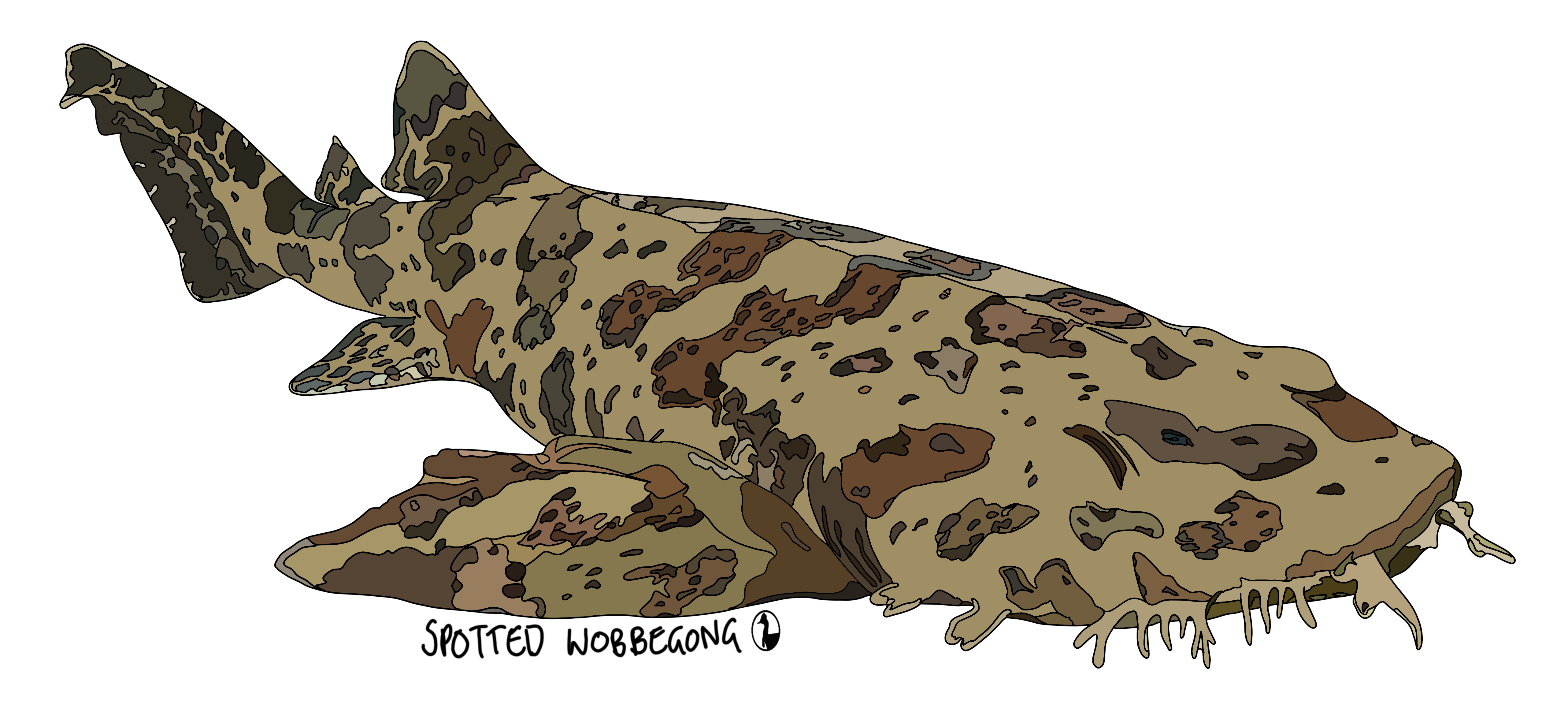 Spotted Wobbegong design