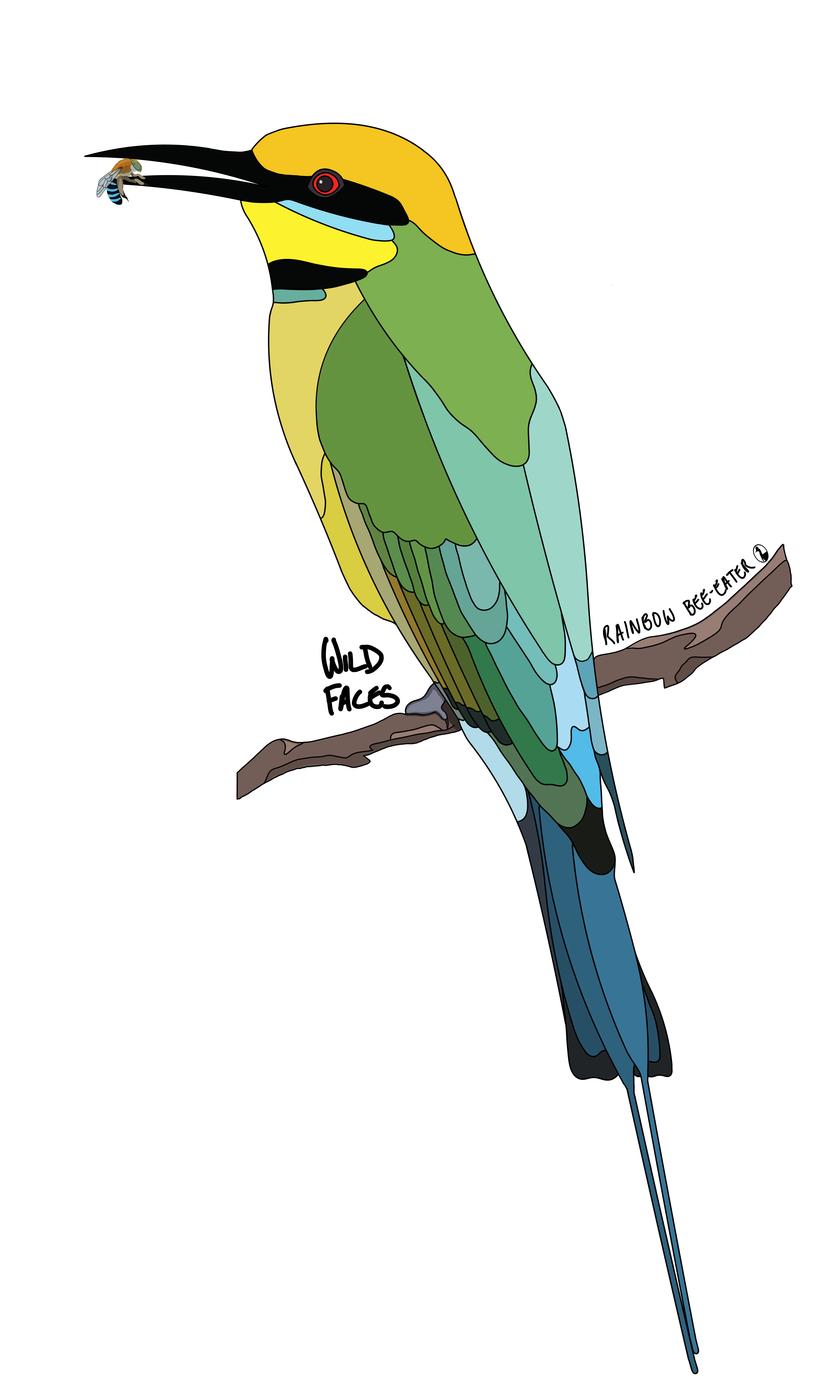 Epic design of a rainbow bee-eater on a branch with a bee in its mouth