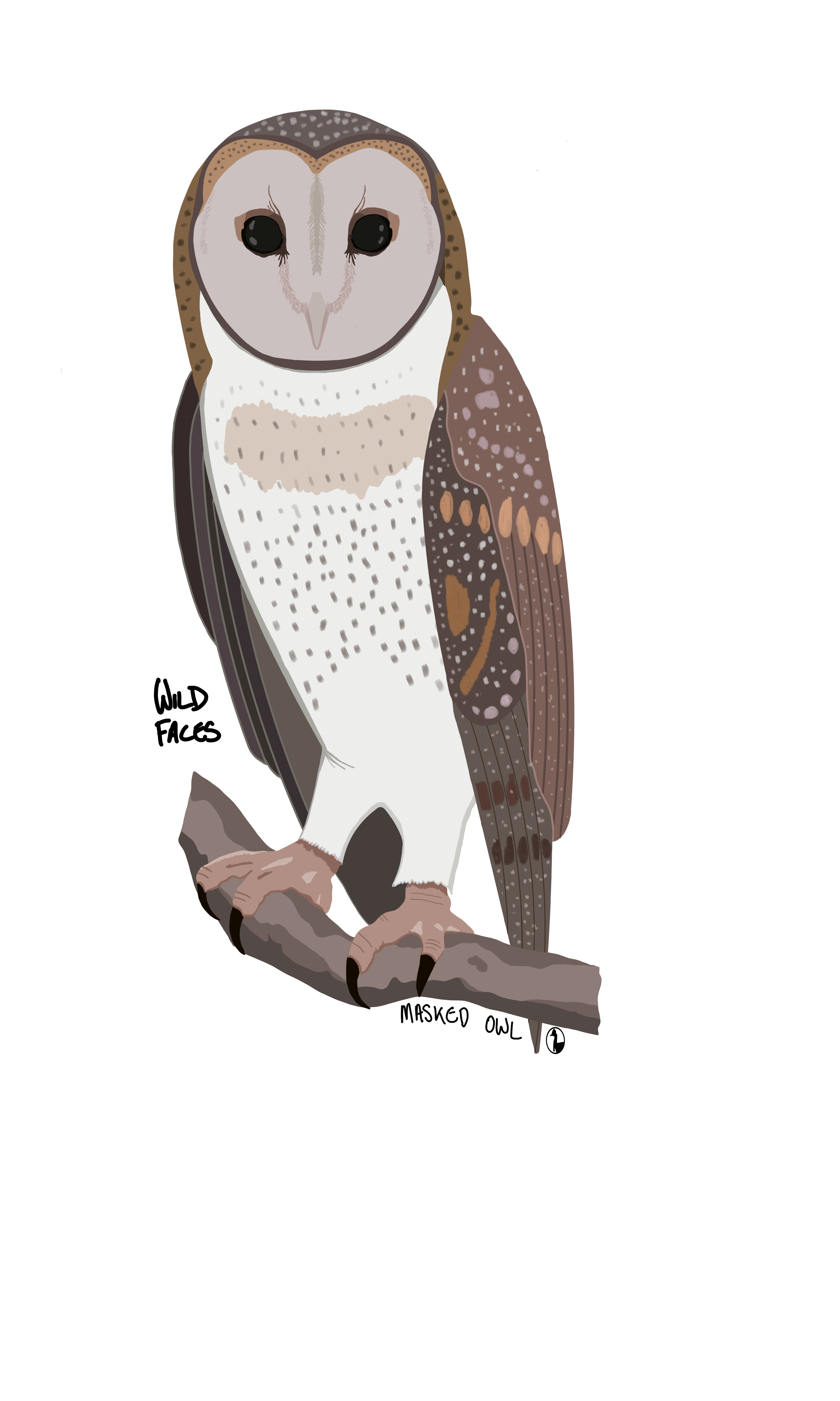 Masked Owl
