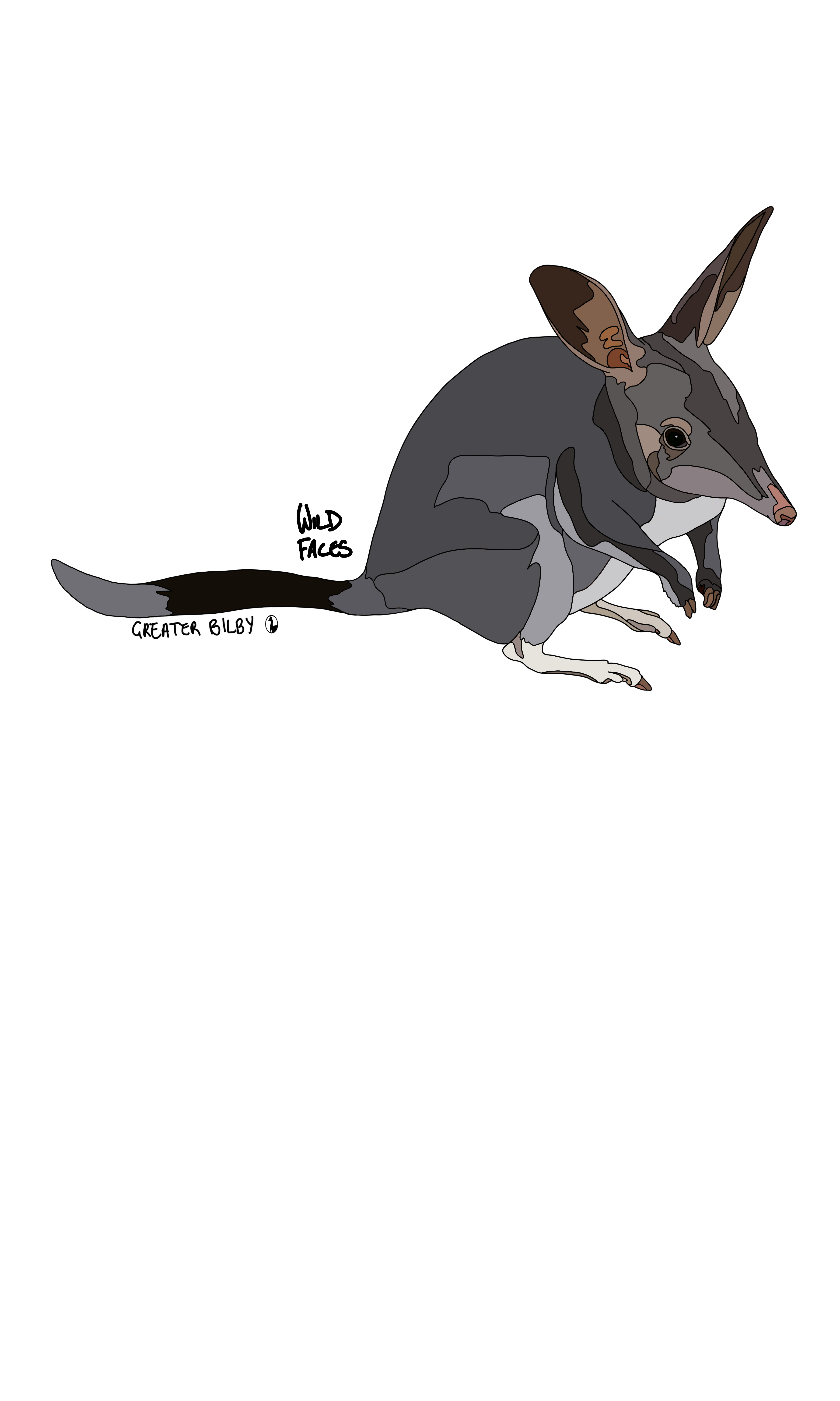 Design of Greater Bilby