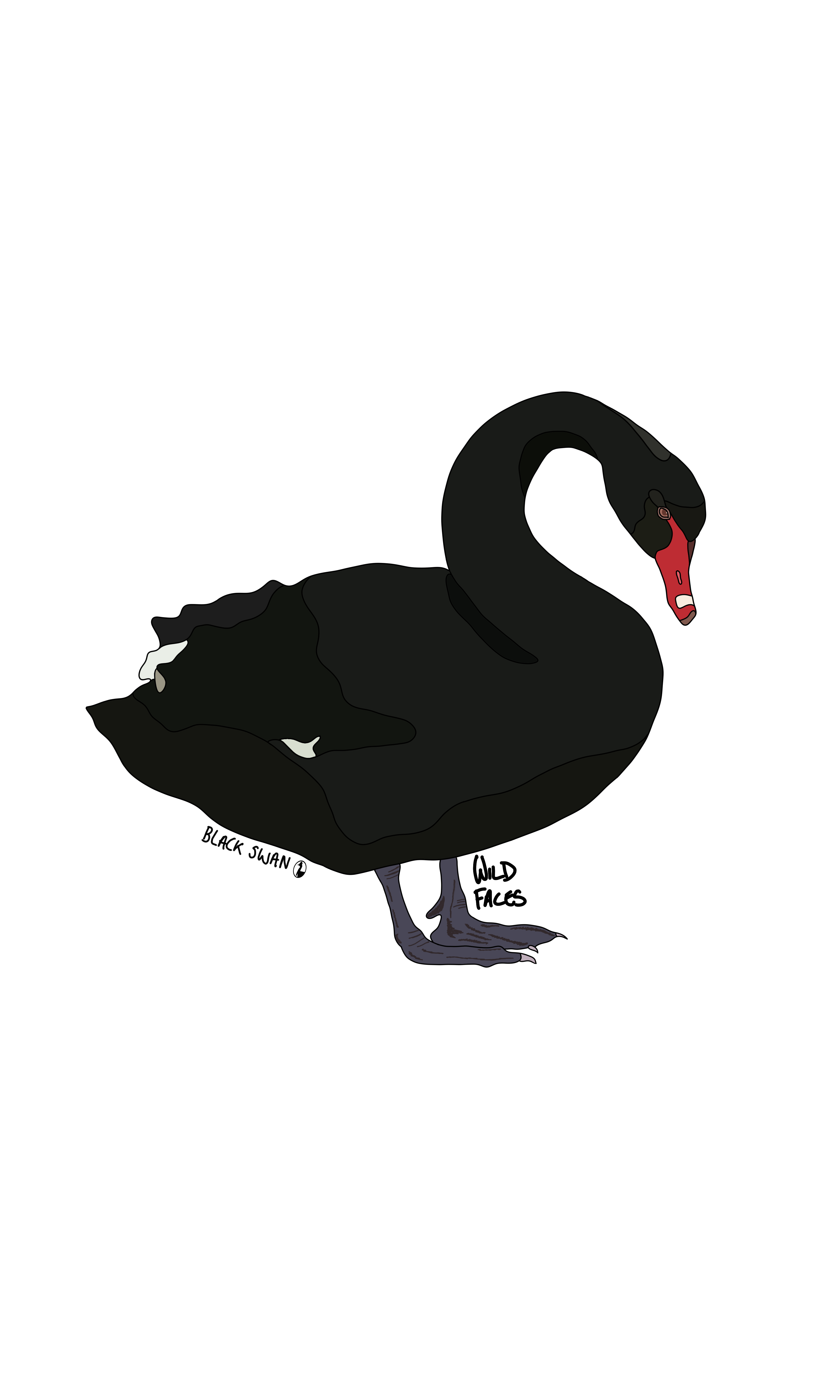 Black swan design
