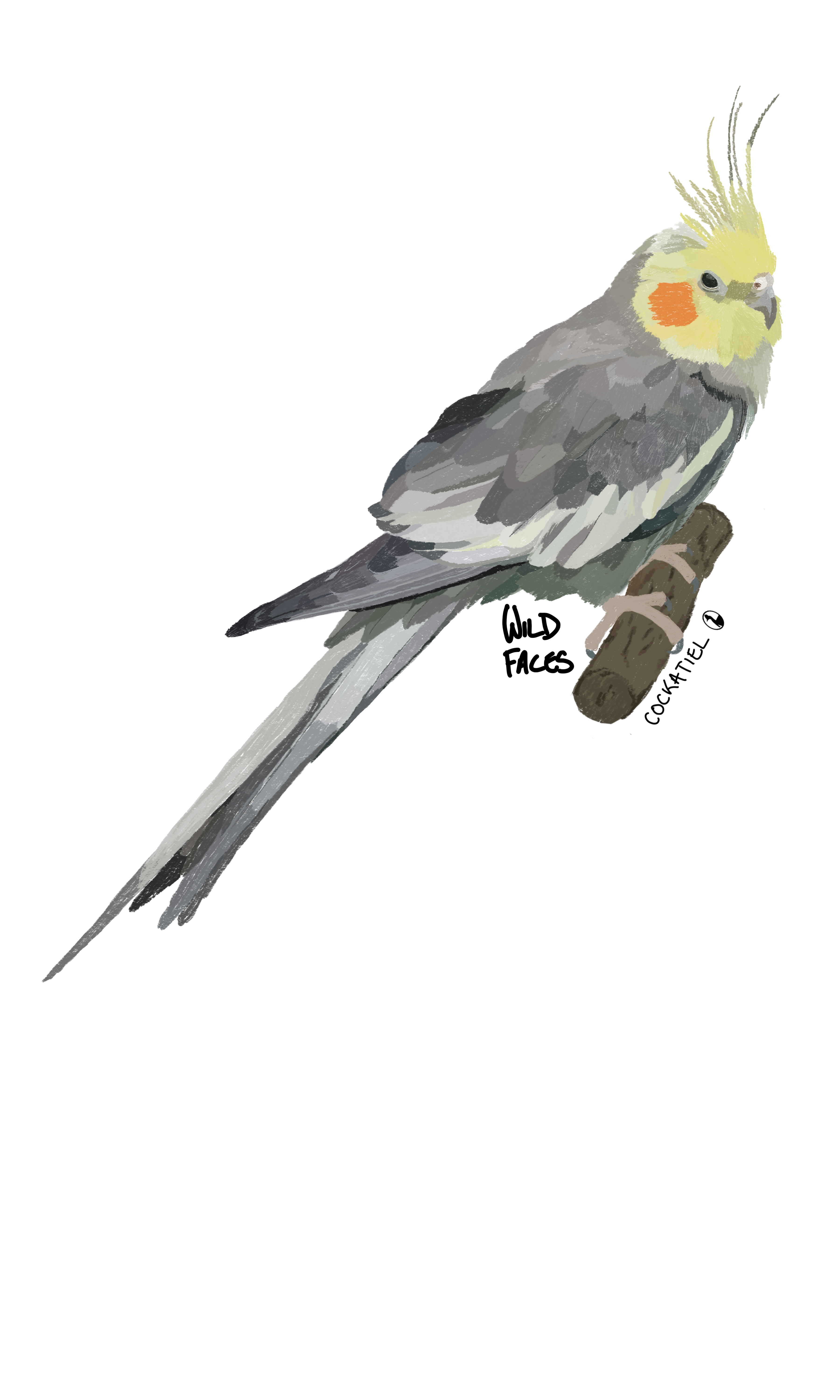 Cockatiel on a stick, cool design