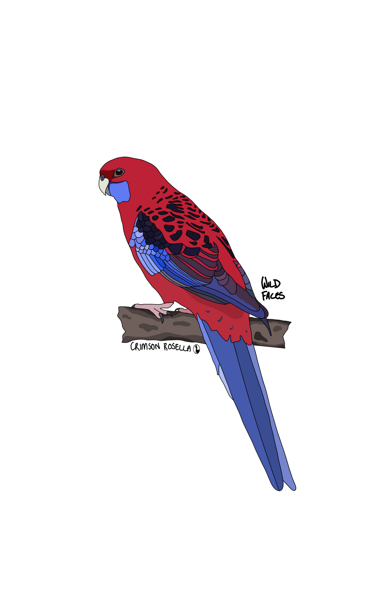 Crimson Rosella