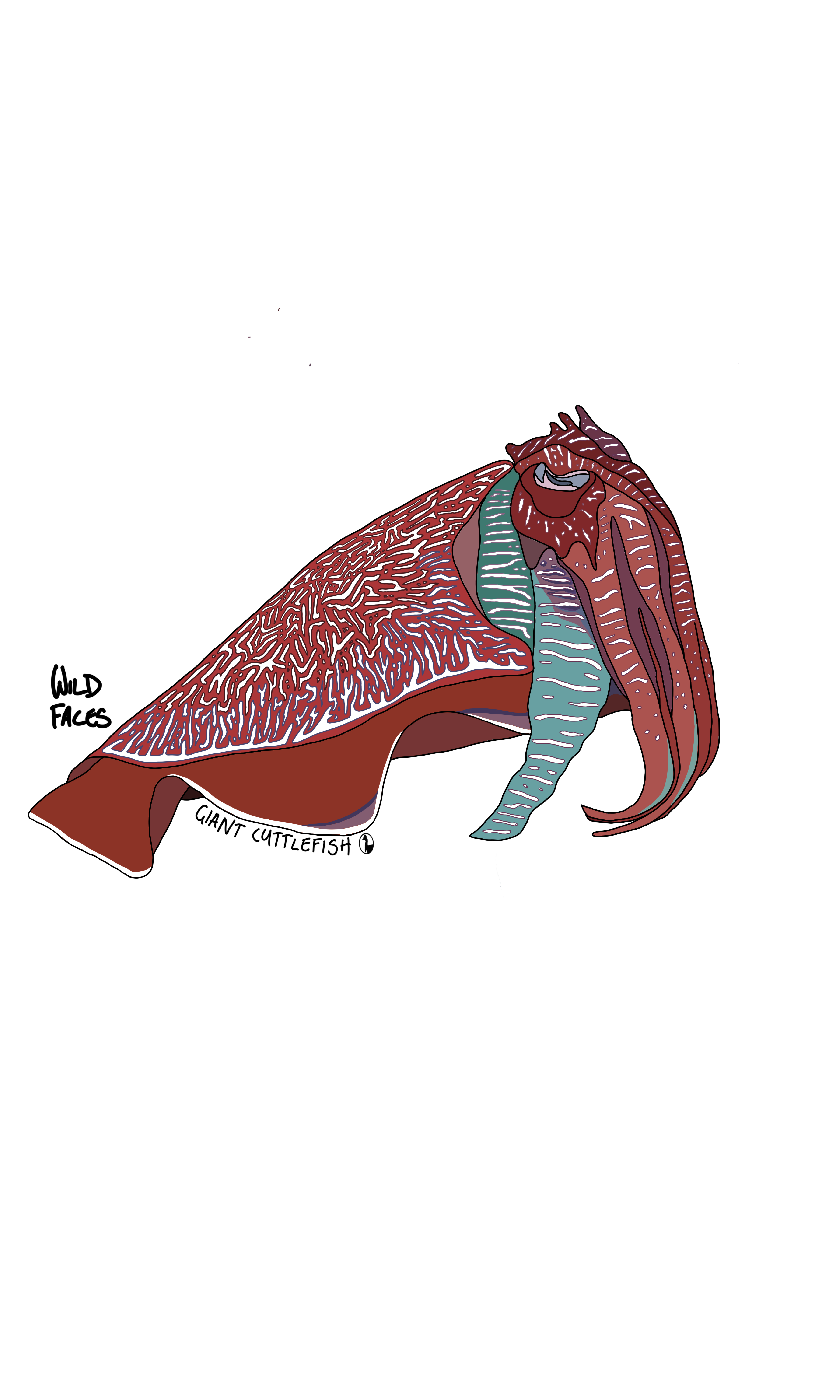 awesome giant cuttlefish design