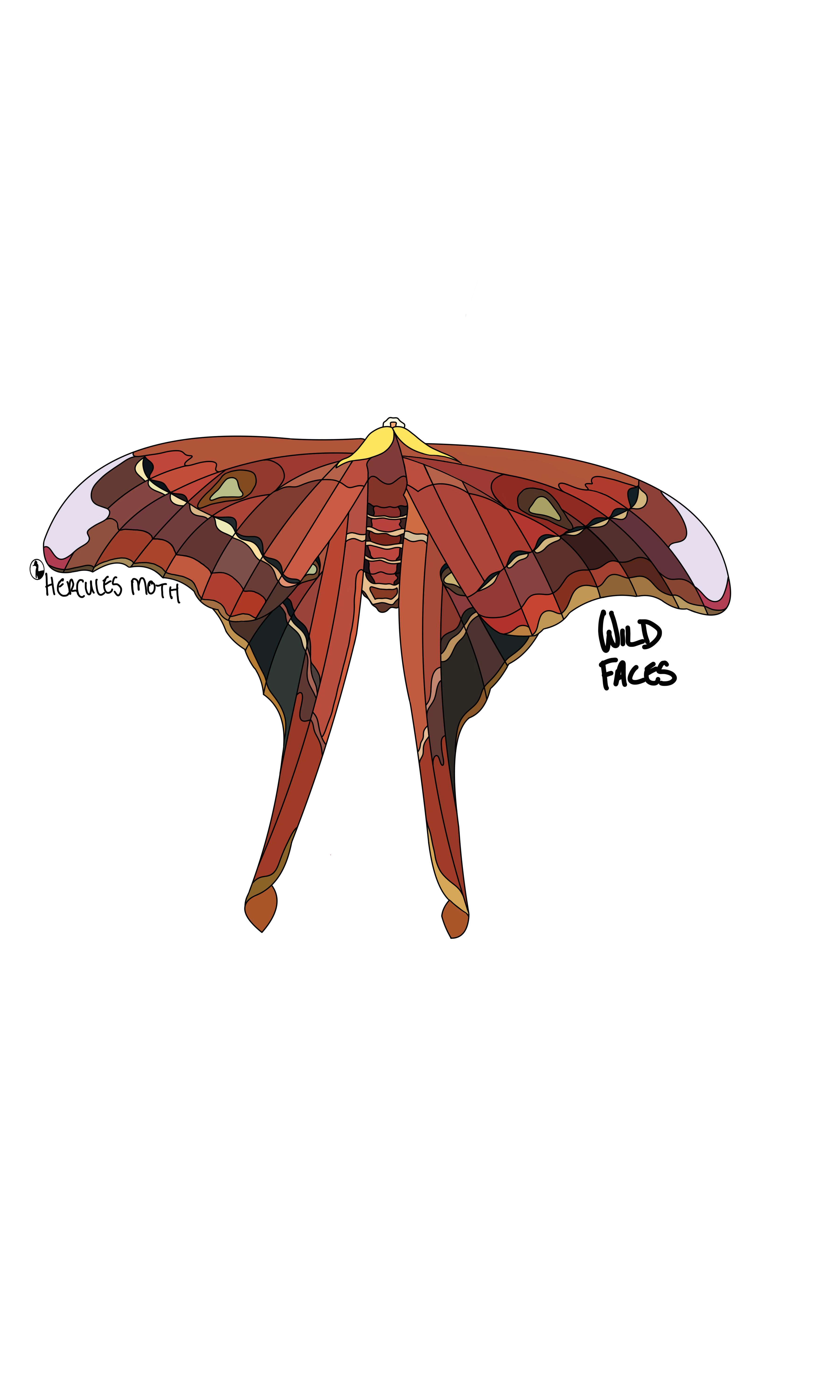 Hercules moth design