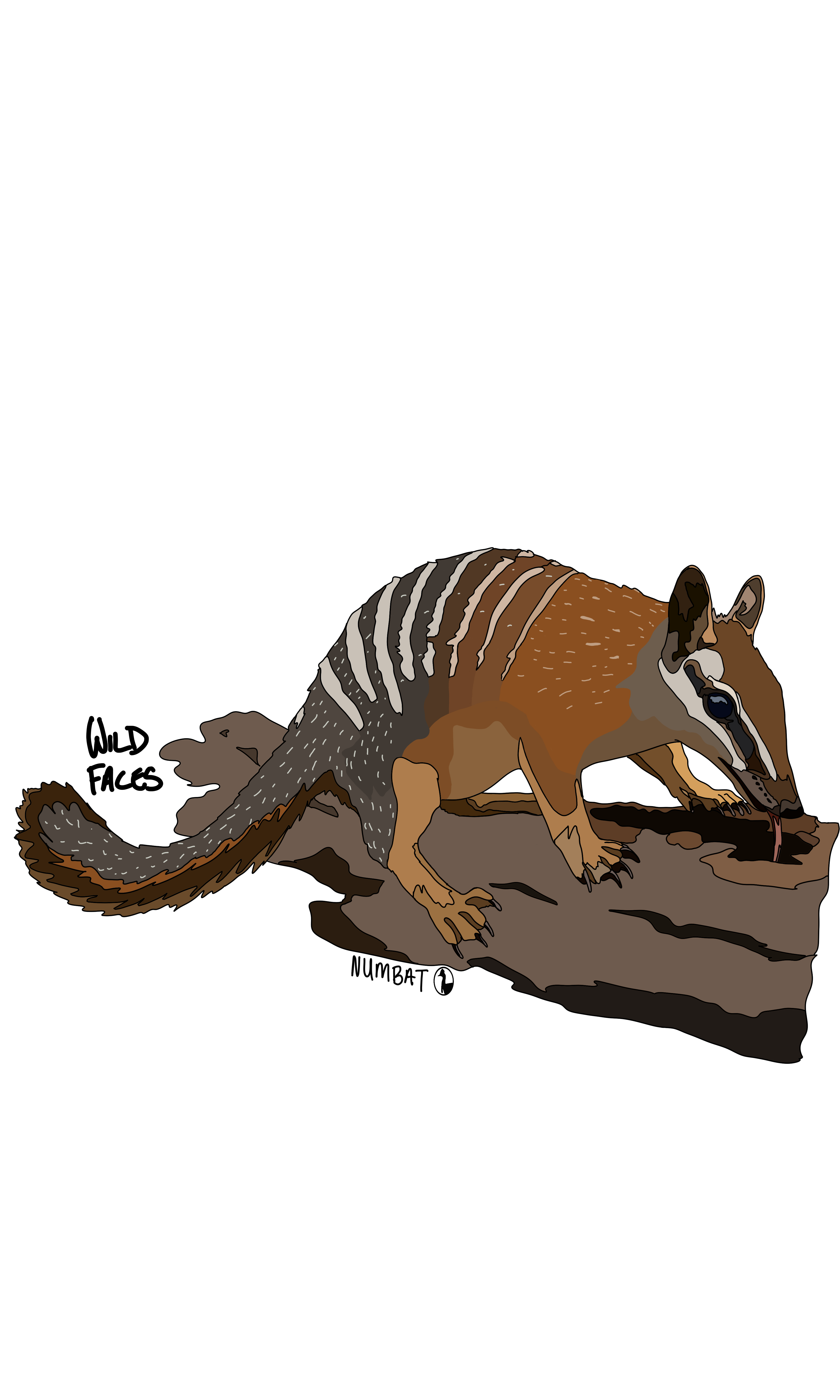 Cool numbat design