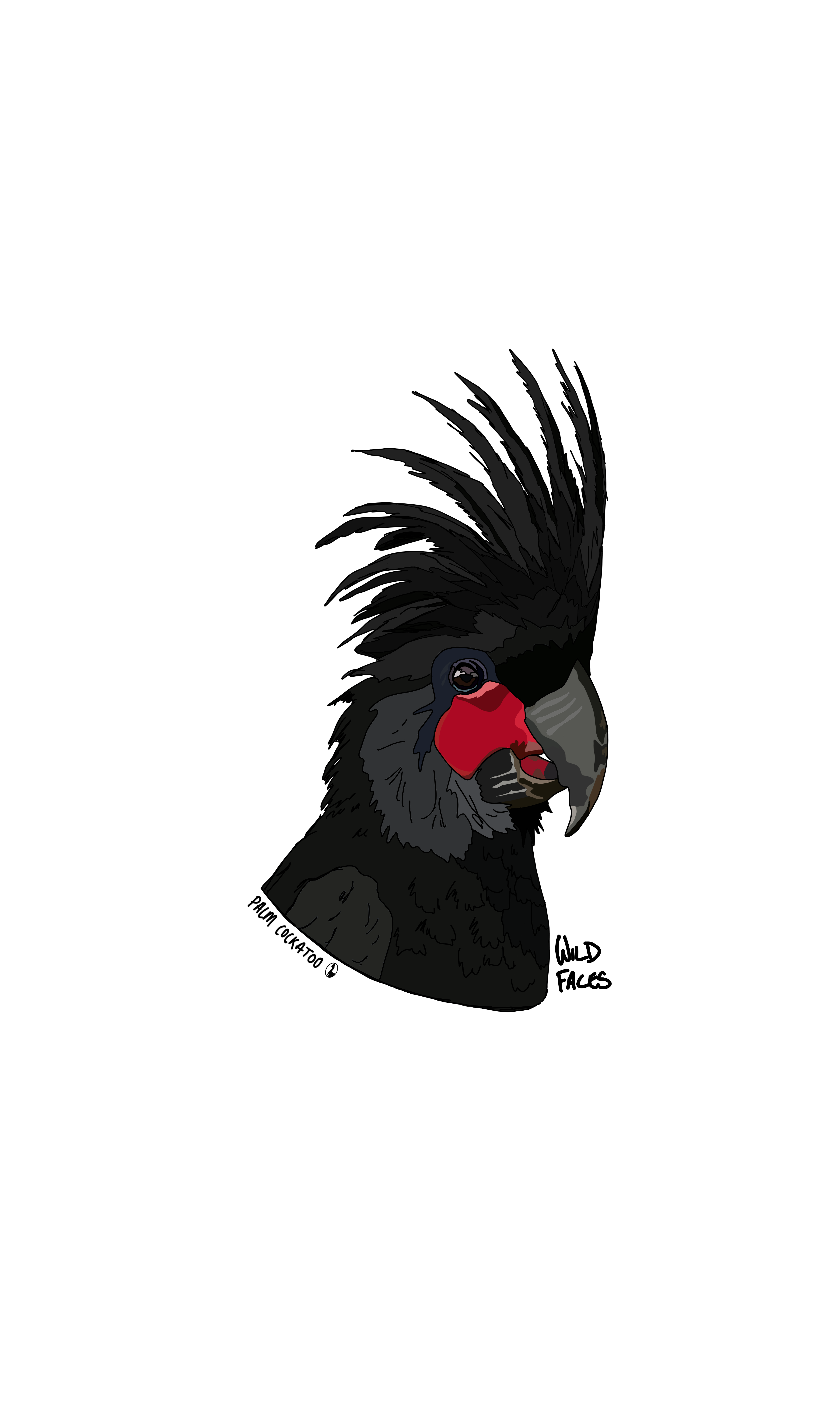 Amazing palm cockatoo design