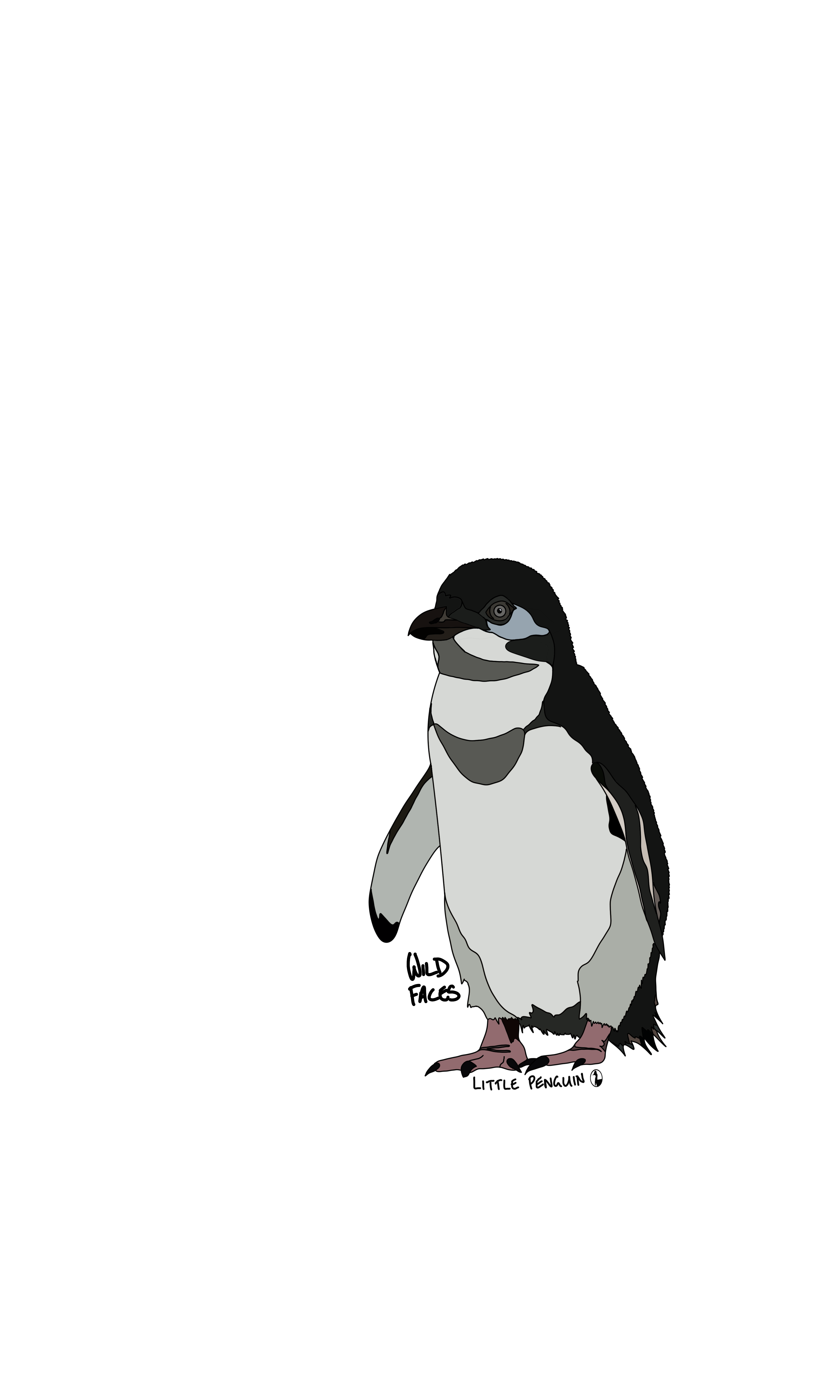awesome design of little penguin