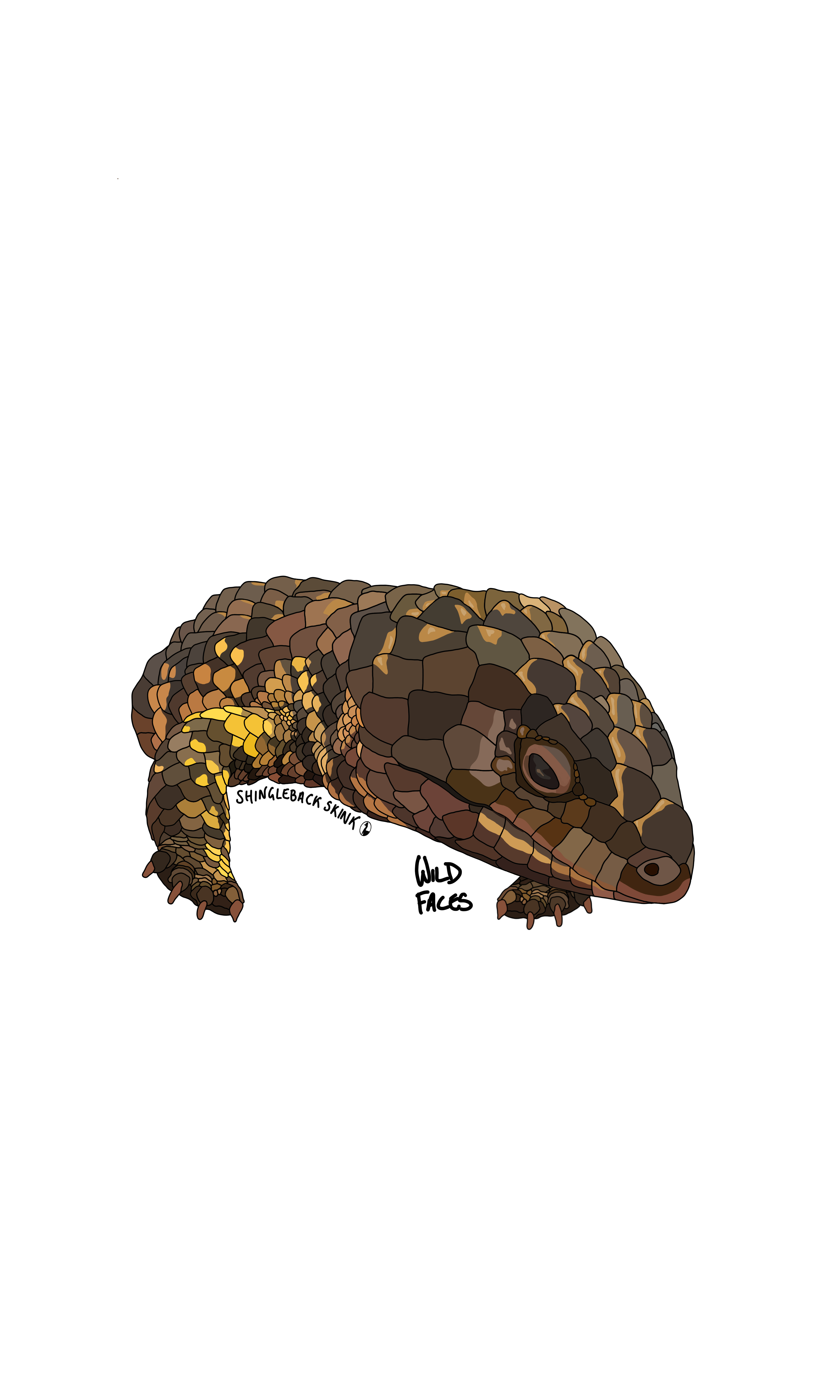 Awesome shingleback lizard design