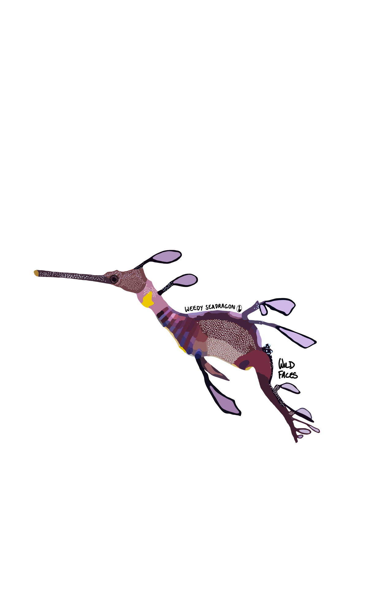 Weedy Seadragon