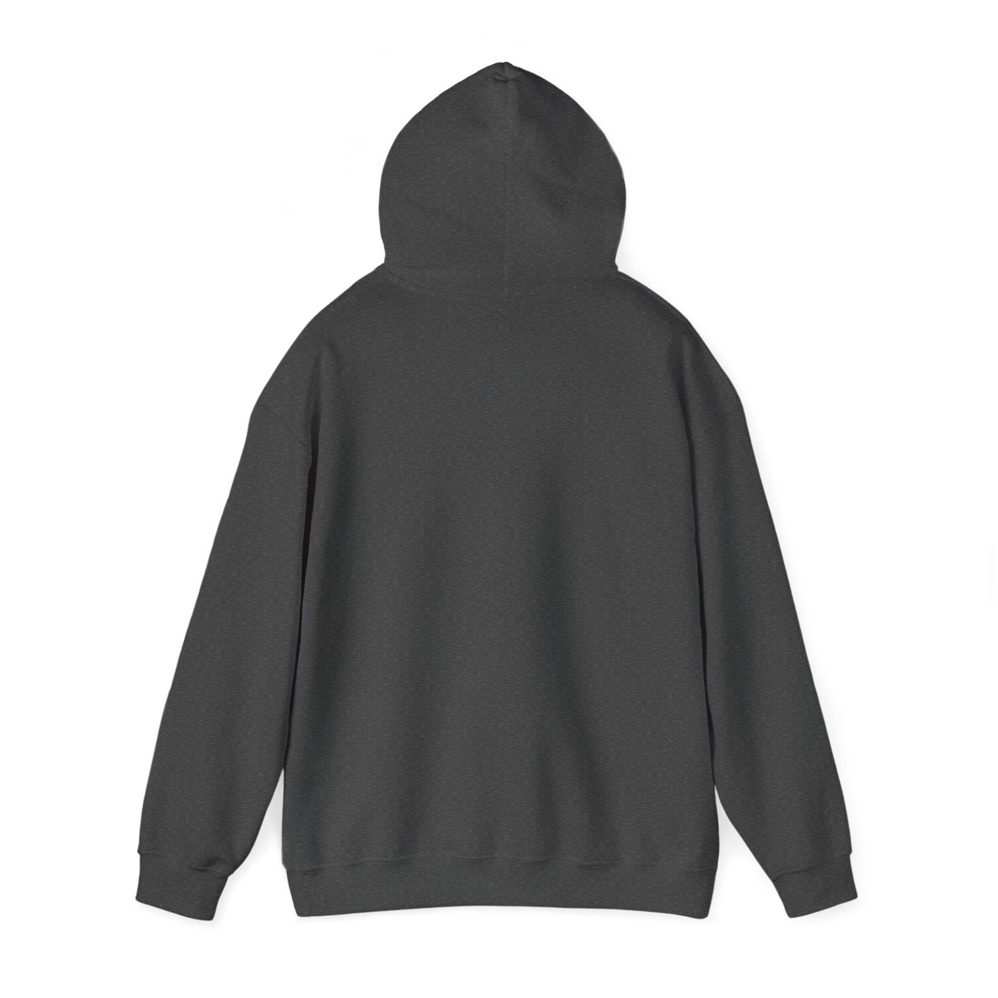 Southern Cassowary | Unisex Heavy Blend™ Hooded Sweatshirt Printify