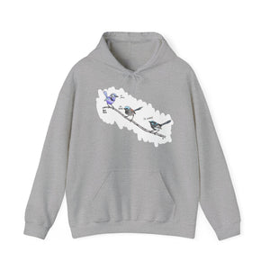 A trio of Fairywrens (spendid, superb and lovely) | Unisex Heavy Blend™ Hooded Sweatshirt Printify