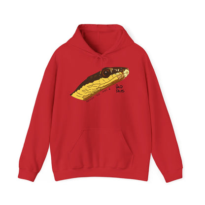 Northern Tree Snake | Unisex Heavy Blend™ Hooded Sweatshirt