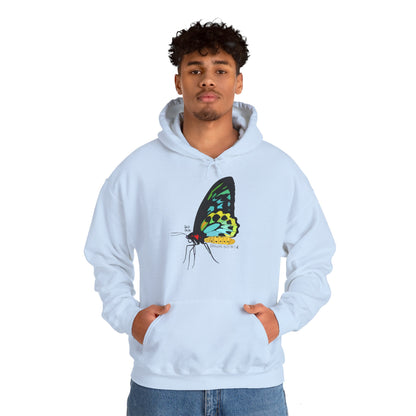 Birdwing Butterfly | Unisex Heavy Blend™ Hooded Sweatshirt