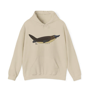 Platypus | Unisex Heavy Blend™ Hooded Sweatshirt Printify