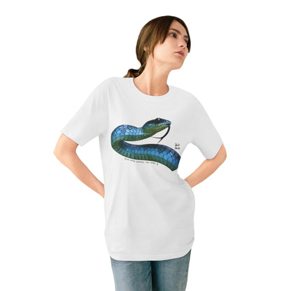 Blue Phase Common Tree-snake | Organic Staple T-shirt