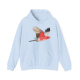 Galah | Unisex Heavy Blend™ Hooded Sweatshirt