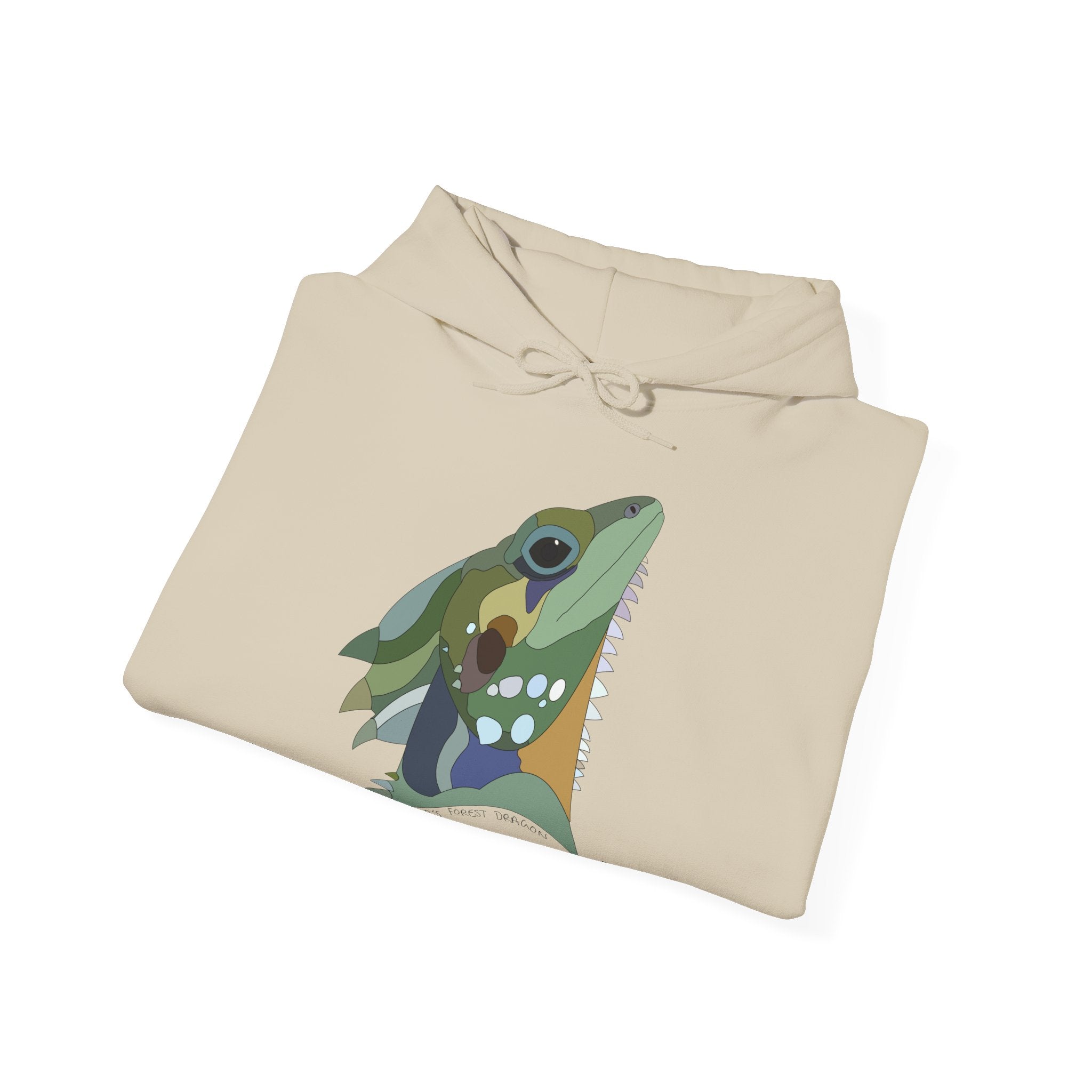 Boyd's Forest Dragon | Unisex Heavy Blend™ Hooded Sweatshirt Printify