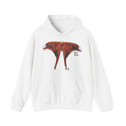 Hercules Moth | Unisex Heavy Blend™ Hooded Sweatshirt