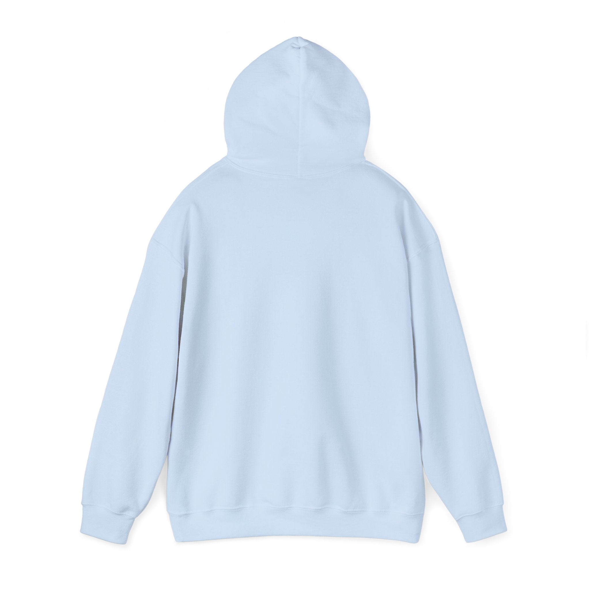 "A Hoodie Hoodie" | Hooded Plover | Unisex Heavy Blend™ Hooded Sweatshirt Printify