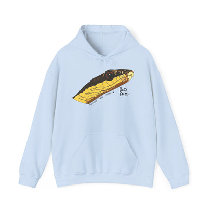 Northern Tree Snake | Unisex Heavy Blend™ Hooded Sweatshirt