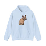 French Bulldog | Unisex Heavy Blend™ Hooded Sweatshirt