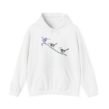 A trio of Fairywrens (spendid, superb and lovely) | Unisex Heavy Blend™ Hooded Sweatshirt