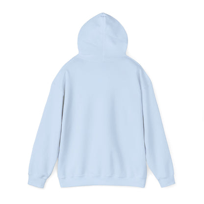 Hooded Plover (head) | Unisex Heavy Blend™ Hooded Sweatshirt