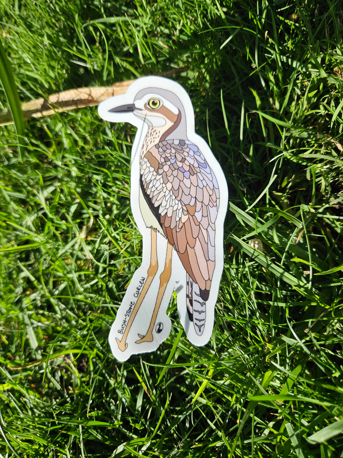 Bush Stone-curlew sticker