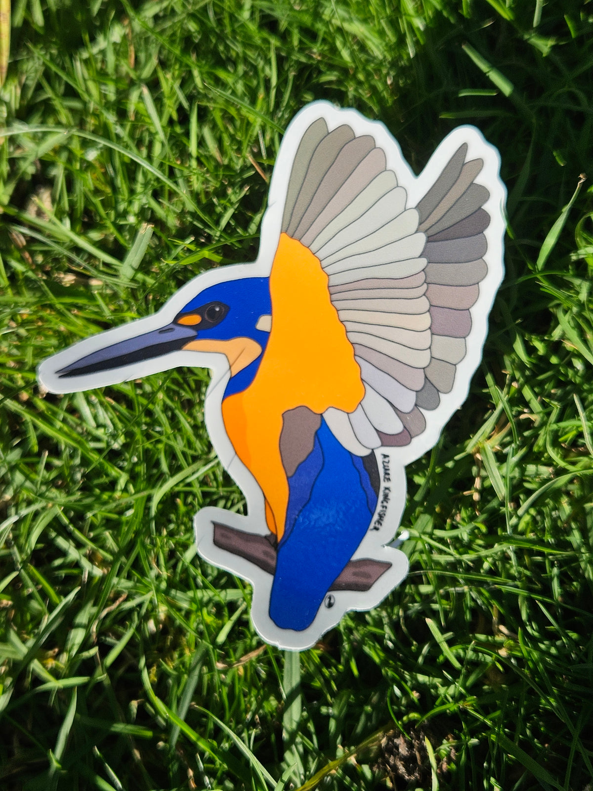 Azure Kingfisher sticker