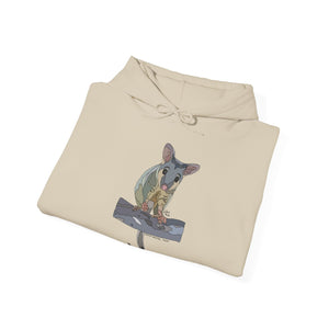 Common Brushtail Possum | Unisex Heavy Blend™ Hooded Sweatshirt Printify