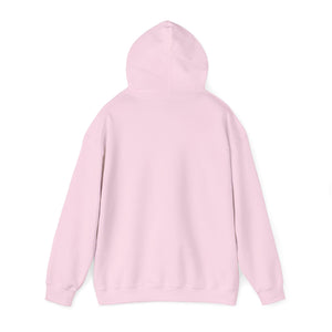Welcome Swallow | Unisex Heavy Blend™ Hooded Sweatshirt Printify