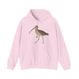 Eastern Curlew | Unisex Heavy Blend™ Hooded Sweatshirt Printify