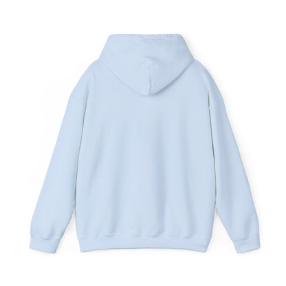 Pale-headed Rosella | Unisex Heavy Blend™ Hooded Sweatshirt