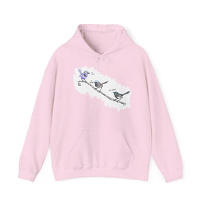 A trio of Fairywrens (spendid, superb and lovely) | Unisex Heavy Blend™ Hooded Sweatshirt Printify