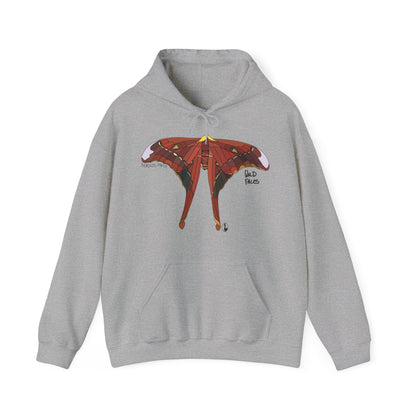 Hercules Moth | Unisex Heavy Blend™ Hooded Sweatshirt