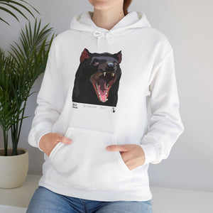 Tasmanian Devil | Unisex Heavy Blend™ Hooded Sweatshirt Printify